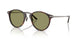 640353 - Tortoise - Green