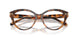 6089 - Tortoise