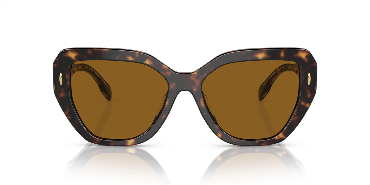 172883 - Tortoise - Solid Dark Brown Polar