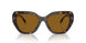 172883 - Tortoise - Solid Dark Brown Polar
