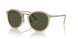 116931 - Brown - Green