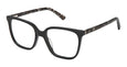 S300 - BLACK TORT / 51