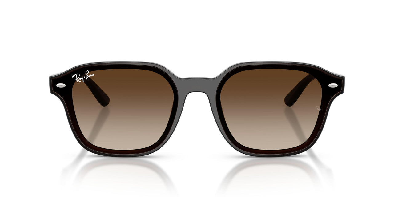 714/13 - Brown - Gradient Brown