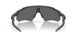 920851 - Matte Black - Prizm Black Polarized
