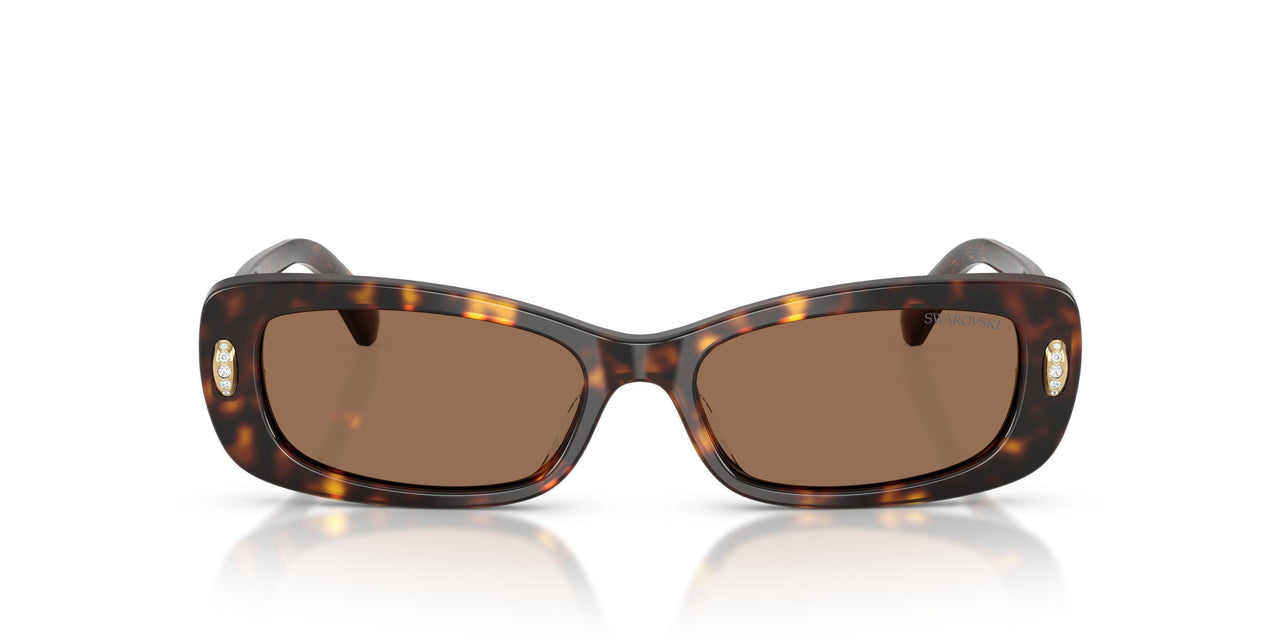 100273 - Tortoise - Dark Brown