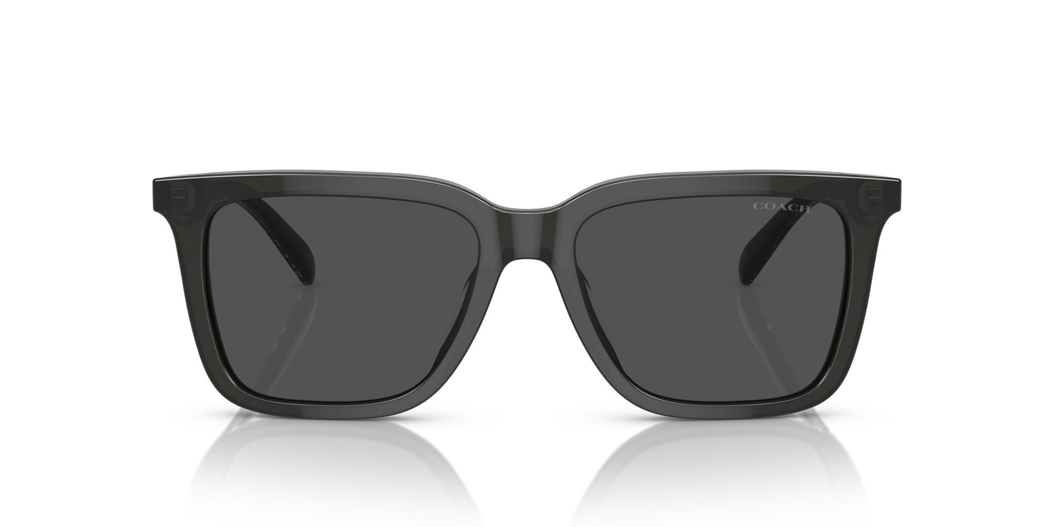 【新品未使用品】COACH サングラス HC8385U CL910 504585 Coach Cl910 8385U Sunglasses
