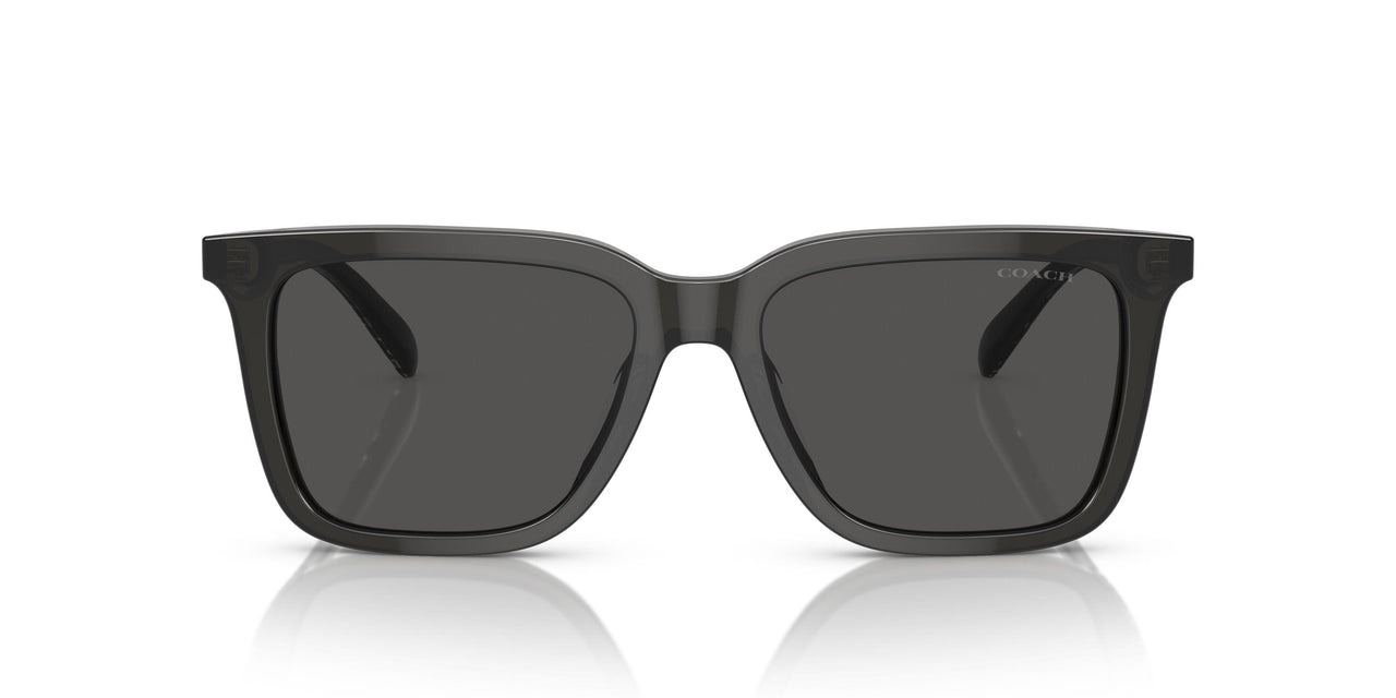 579387 - Grey - Grey Solid