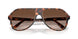 300613 - Tortoise - Smoke Gradient