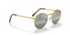 9196G4 - Gold - Polar Clear Gradient Dark Gree
