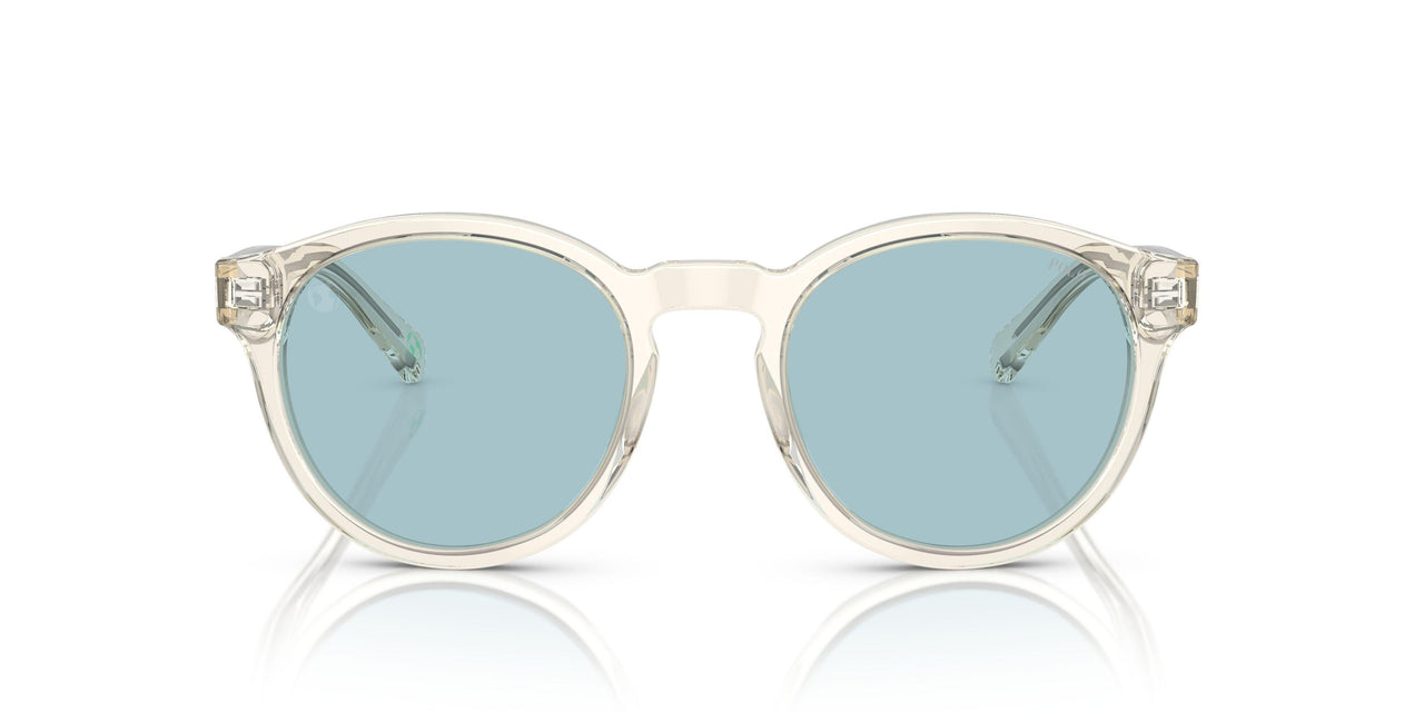 503480 - Grey - Light Azure