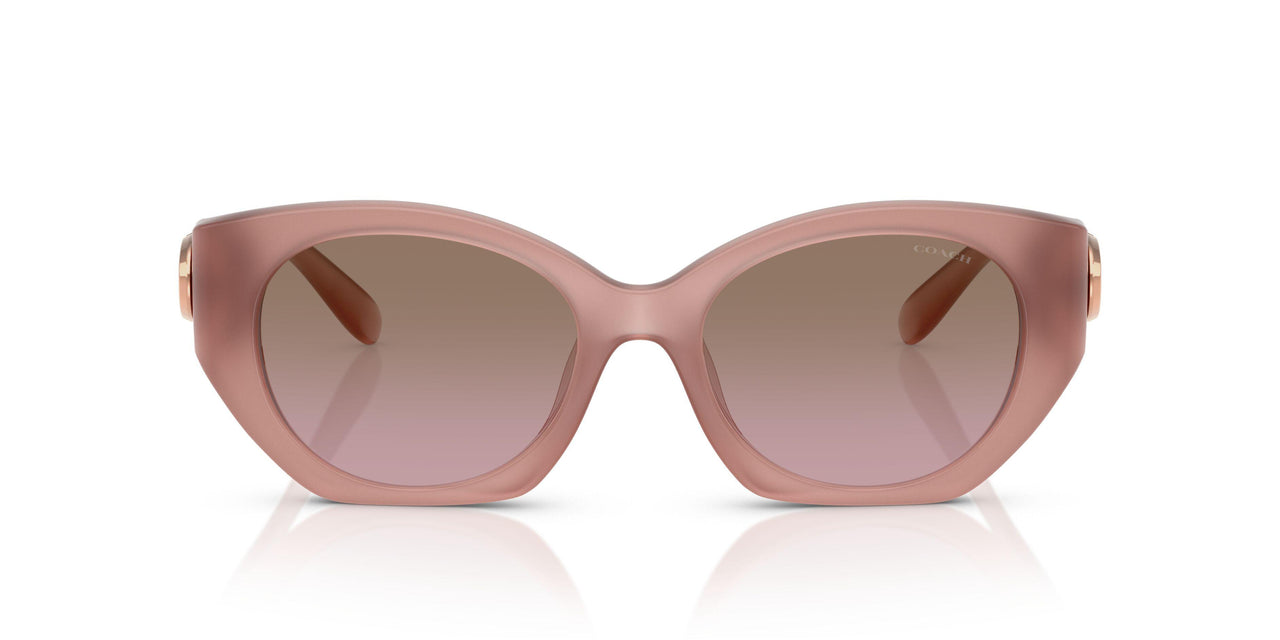 583914 - Pink - Brown Rose Gradient