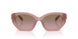 583914 - Pink - Brown Rose Gradient