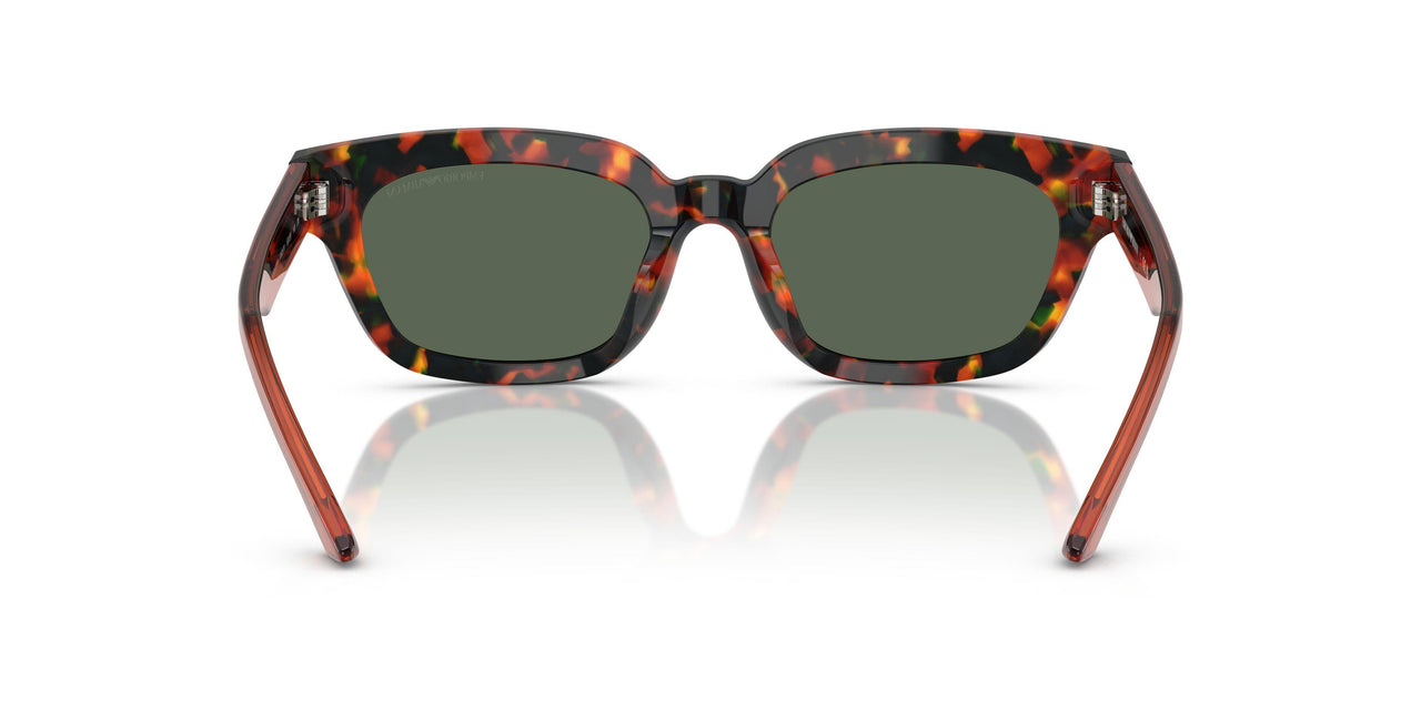 618271 - Tortoise - Dark Green