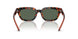 618271 - Tortoise - Dark Green