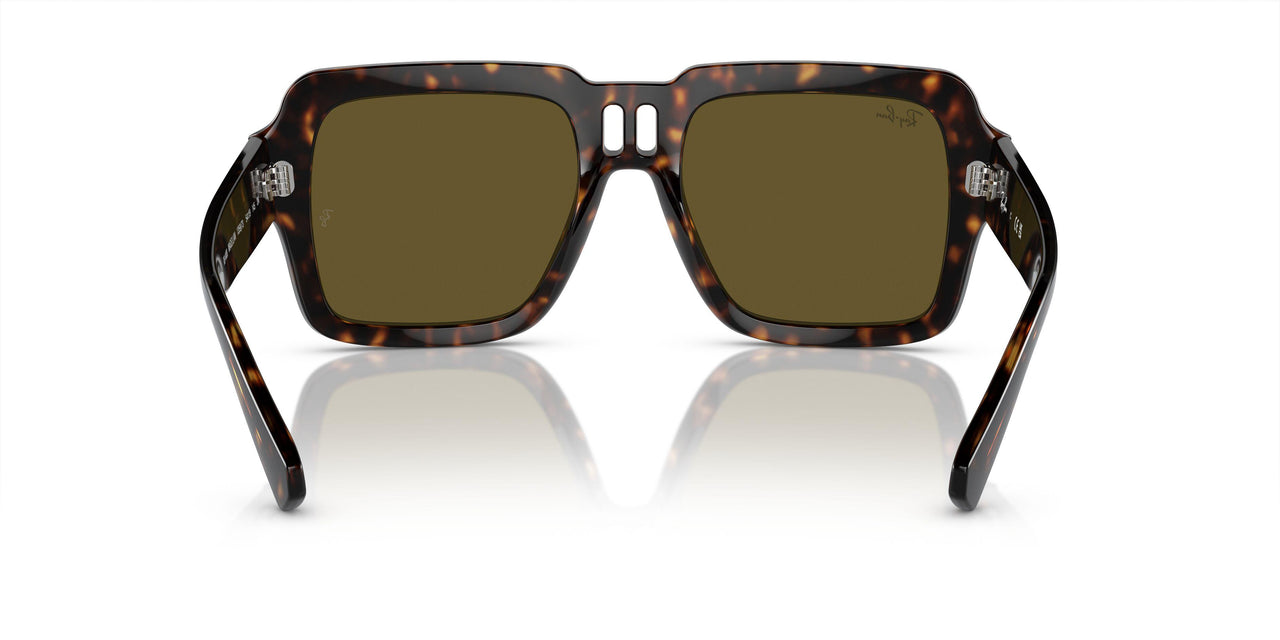 135973 - Tortoise - Dark Brown