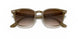 616613 - Light Brown - Brown Gradient