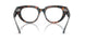 8401 - Tortoise - Clear