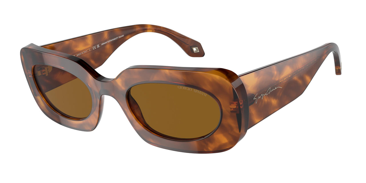 598833 - Red - Brown