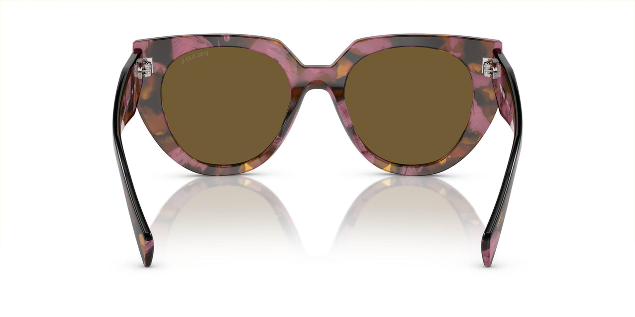 18N01T - Brown - Dark Brown