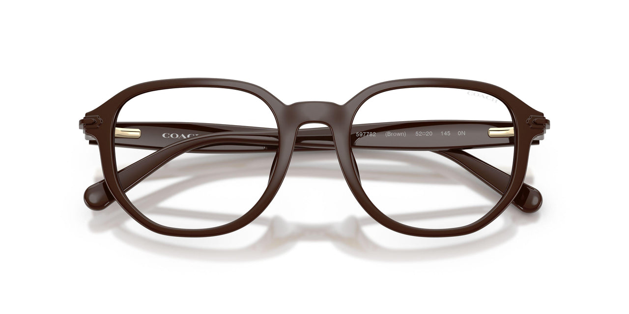 597782 - Brown - Green Solid