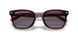 659373 - Brown - Violet