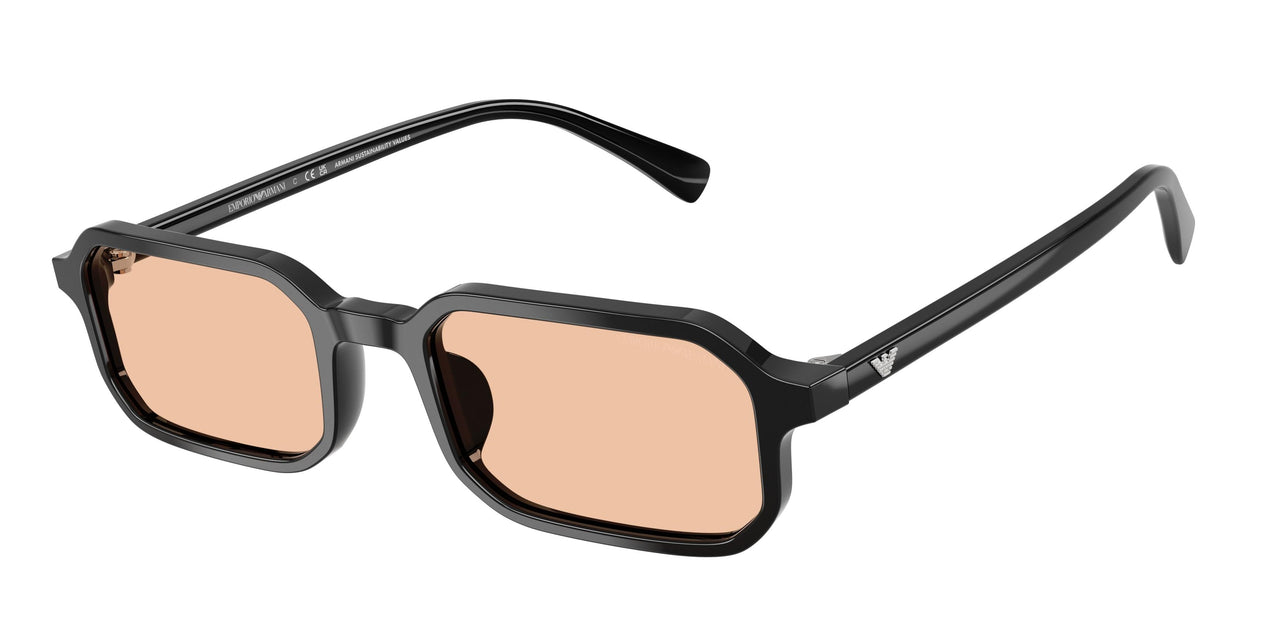 Emporio Armani 4253U Sunglasses