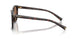 17N06B - Tortoise - Dark Brown