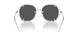 301587 - Silver - Dark Grey