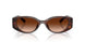 512074 - Tortoise - Brown Gradient