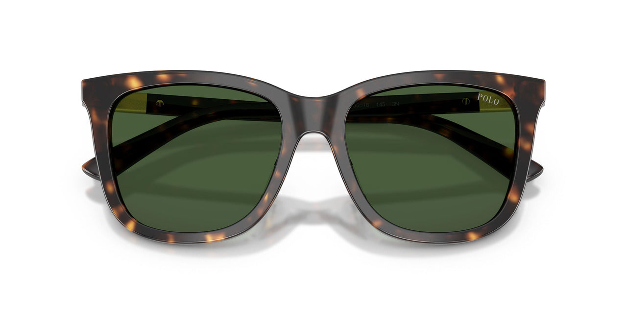 500371 - Tortoise - Bottle Green
