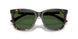 500371 - Tortoise - Bottle Green