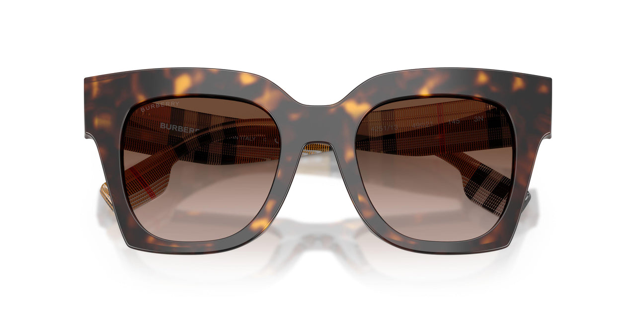 425113 - Brown - Brown Gradient