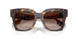 425113 - Brown - Brown Gradient