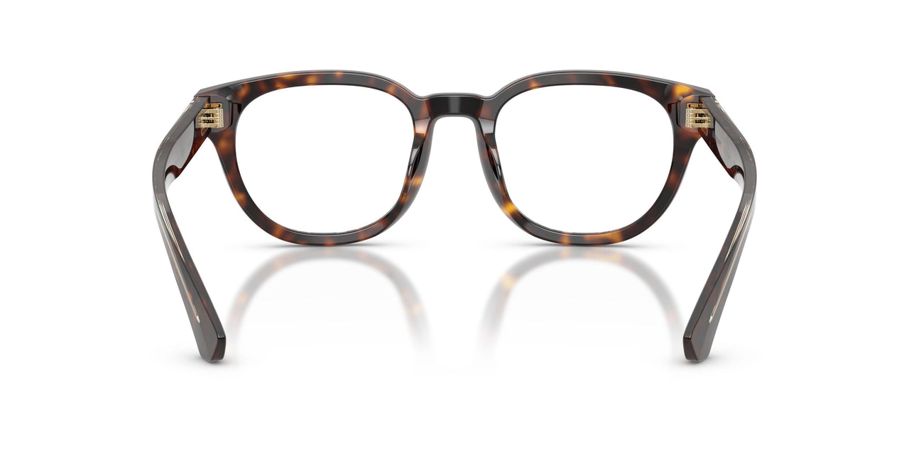 4205 - Brown