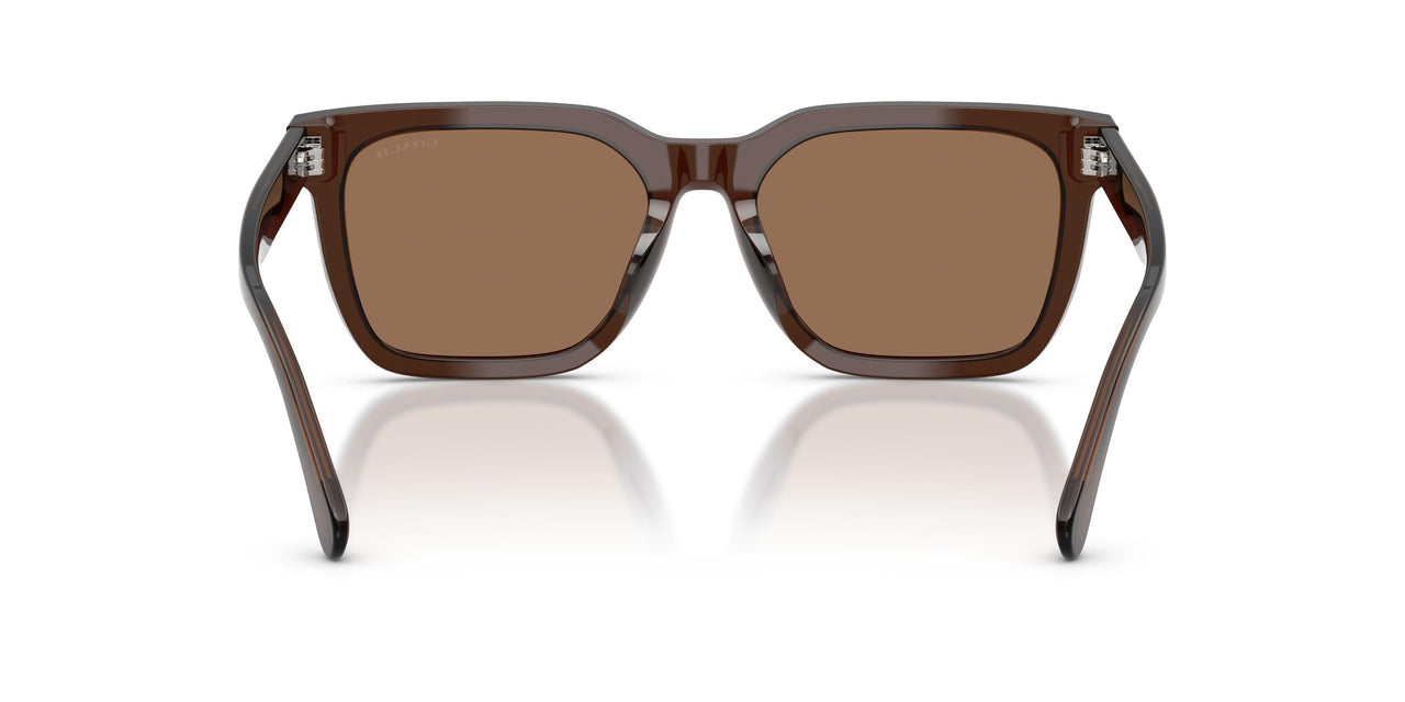 597373 - Brown - Brown Solid