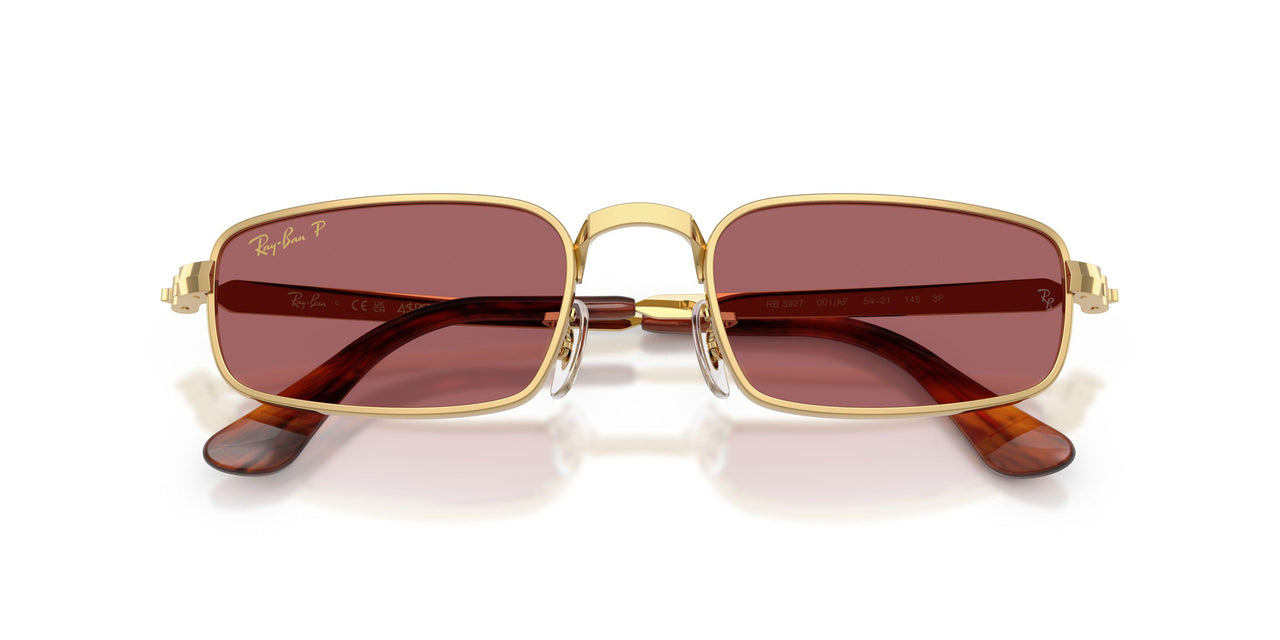 001/AF - Gold - Purple Polarized