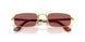 001/AF - Gold - Purple Polarized