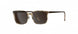 6130 - HAV. CARAMEL BROWN - SLM Brown