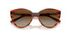 1508T5 - Brown - Grey Gradient Brown Polar