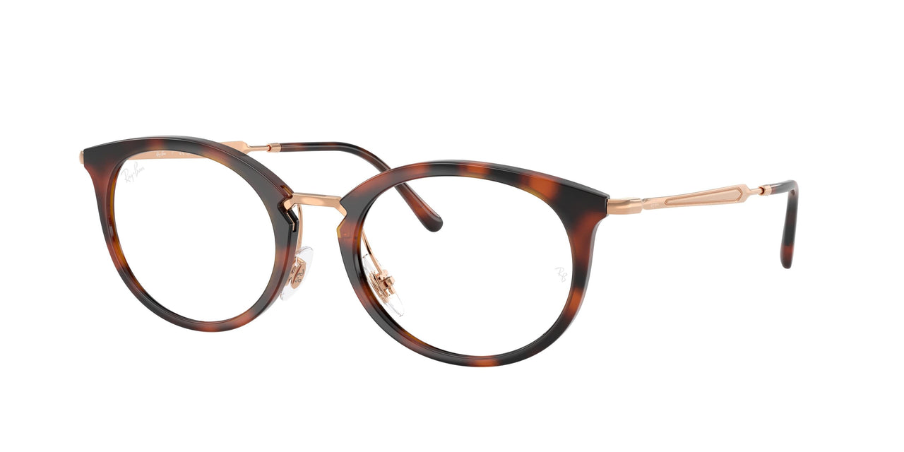 Ray-Ban 7255 Eyeglasses