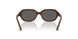 327587 - Brown - Black Smoke