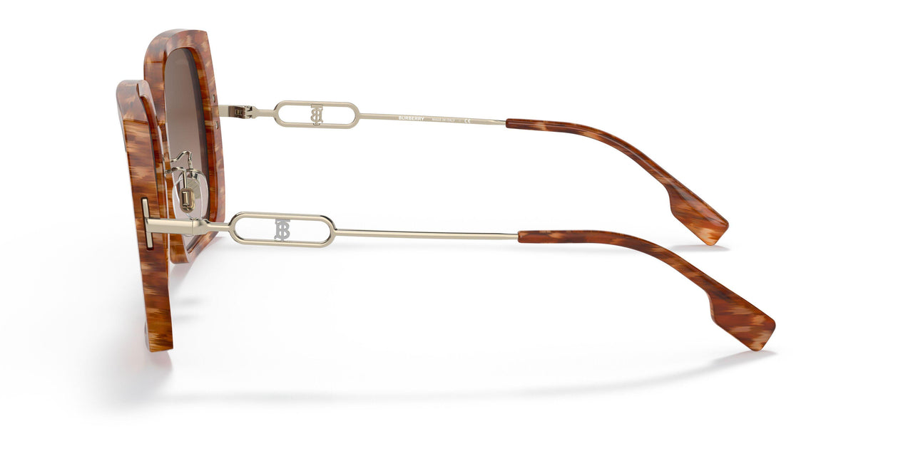391513 - Brown - Brown Gradient