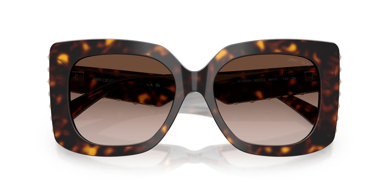 500213 - Tortoise - Gradient Brown