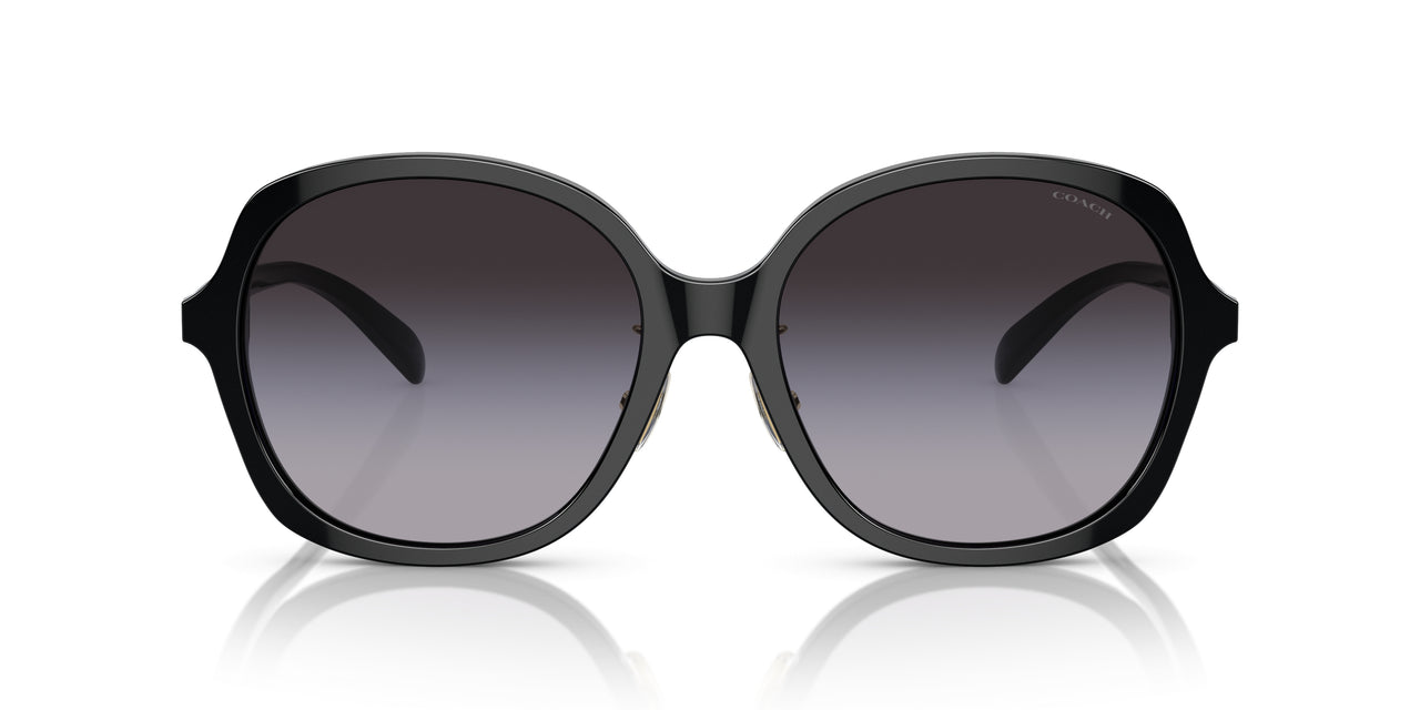 50028G - Black - Grey Gradient