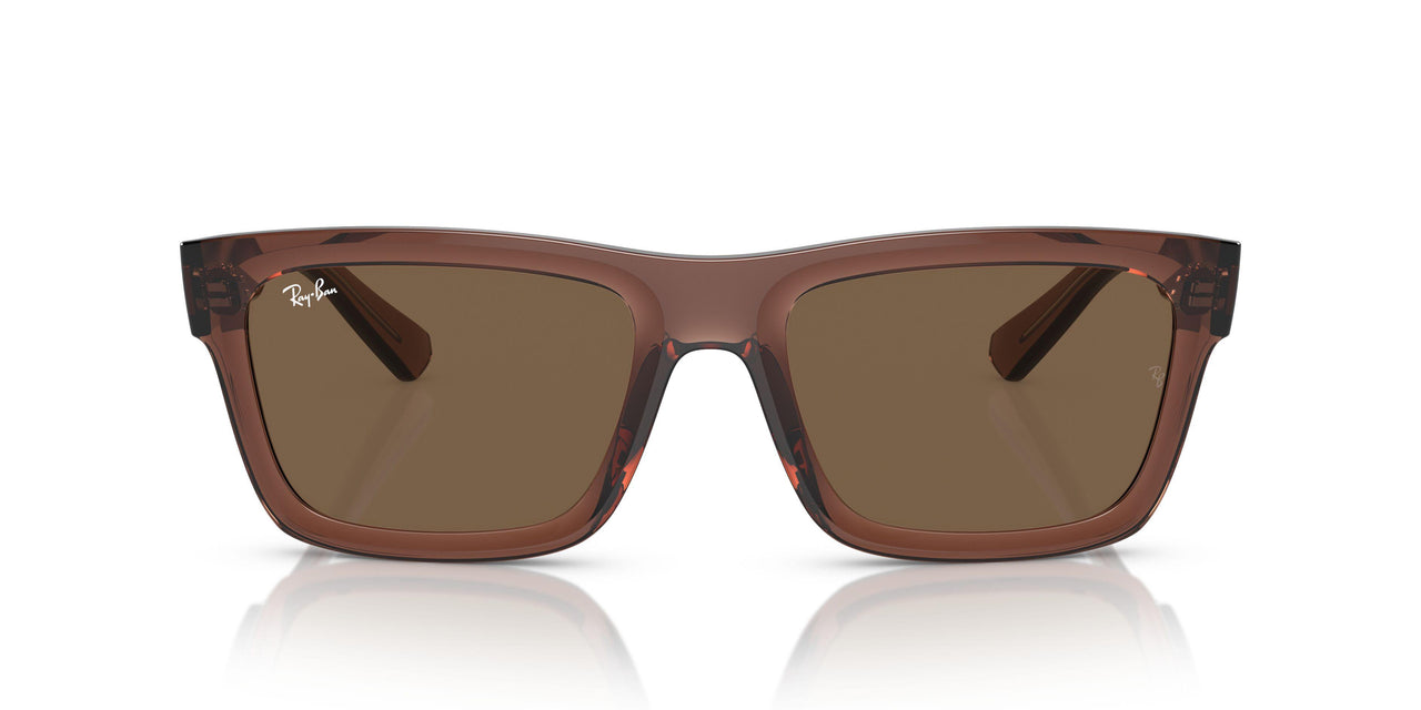667873 - Brown - Dark Brown