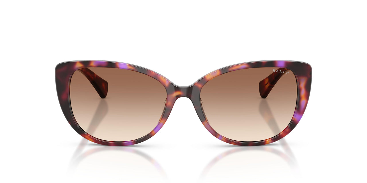 623913 - Violet - Gradient Brown