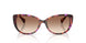 623913 - Violet - Gradient Brown