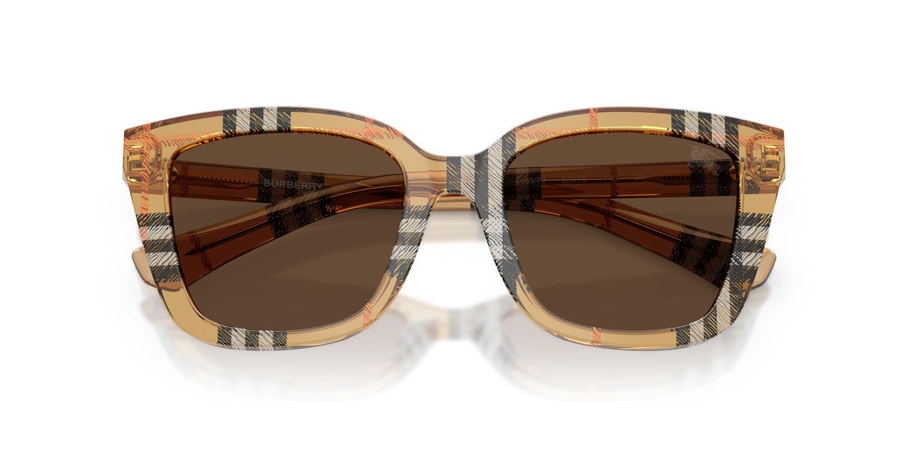 416373 - Brown - Dark Brown