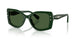Swarovski 6058U Sunglasses