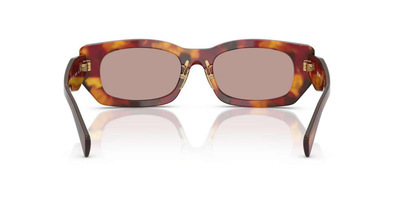 22A20I - Tortoise - Light Purple Brown